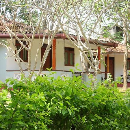 Calm Garden Cabanas Tangalle Exteriér fotografie