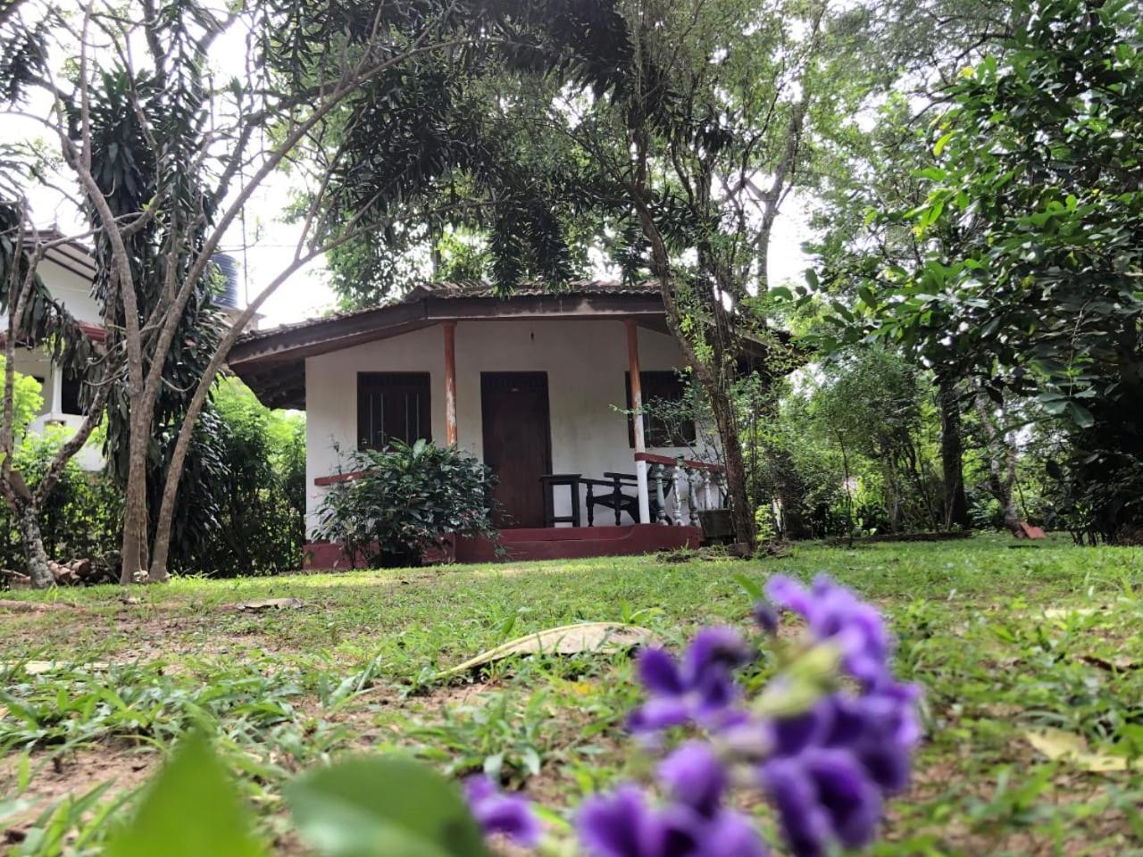 Calm Garden Cabanas Tangalle Exteriér fotografie