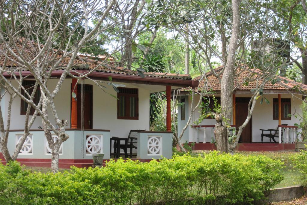 Calm Garden Cabanas Tangalle Exteriér fotografie
