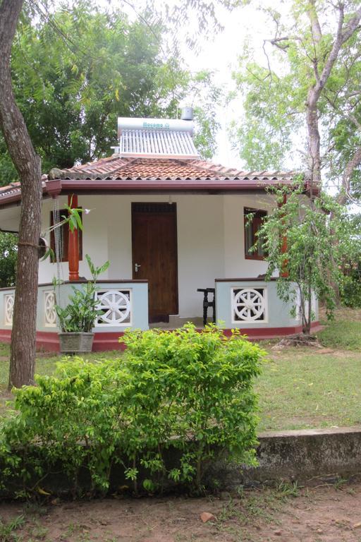 Calm Garden Cabanas Tangalle Exteriér fotografie