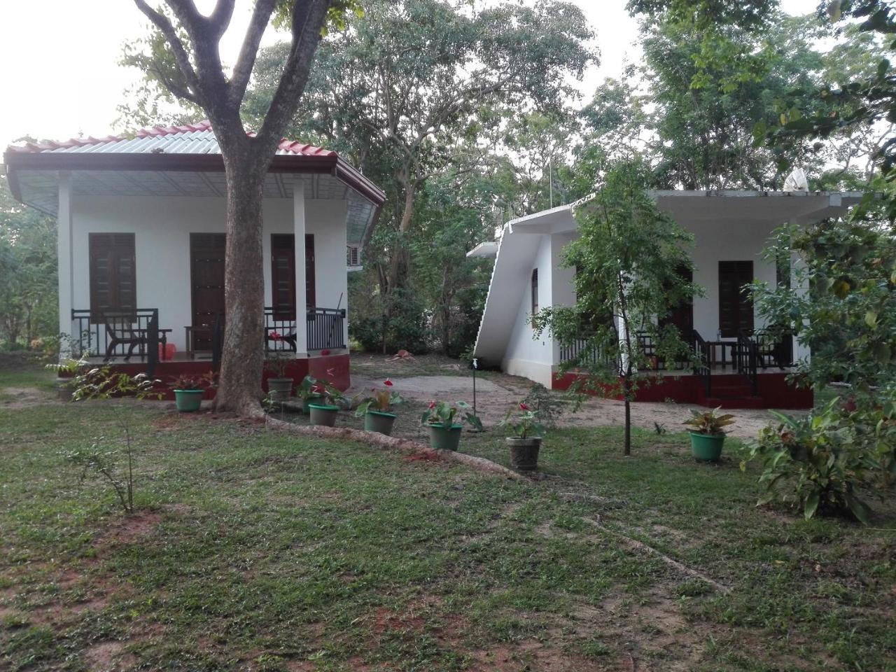 Calm Garden Cabanas Tangalle Exteriér fotografie
