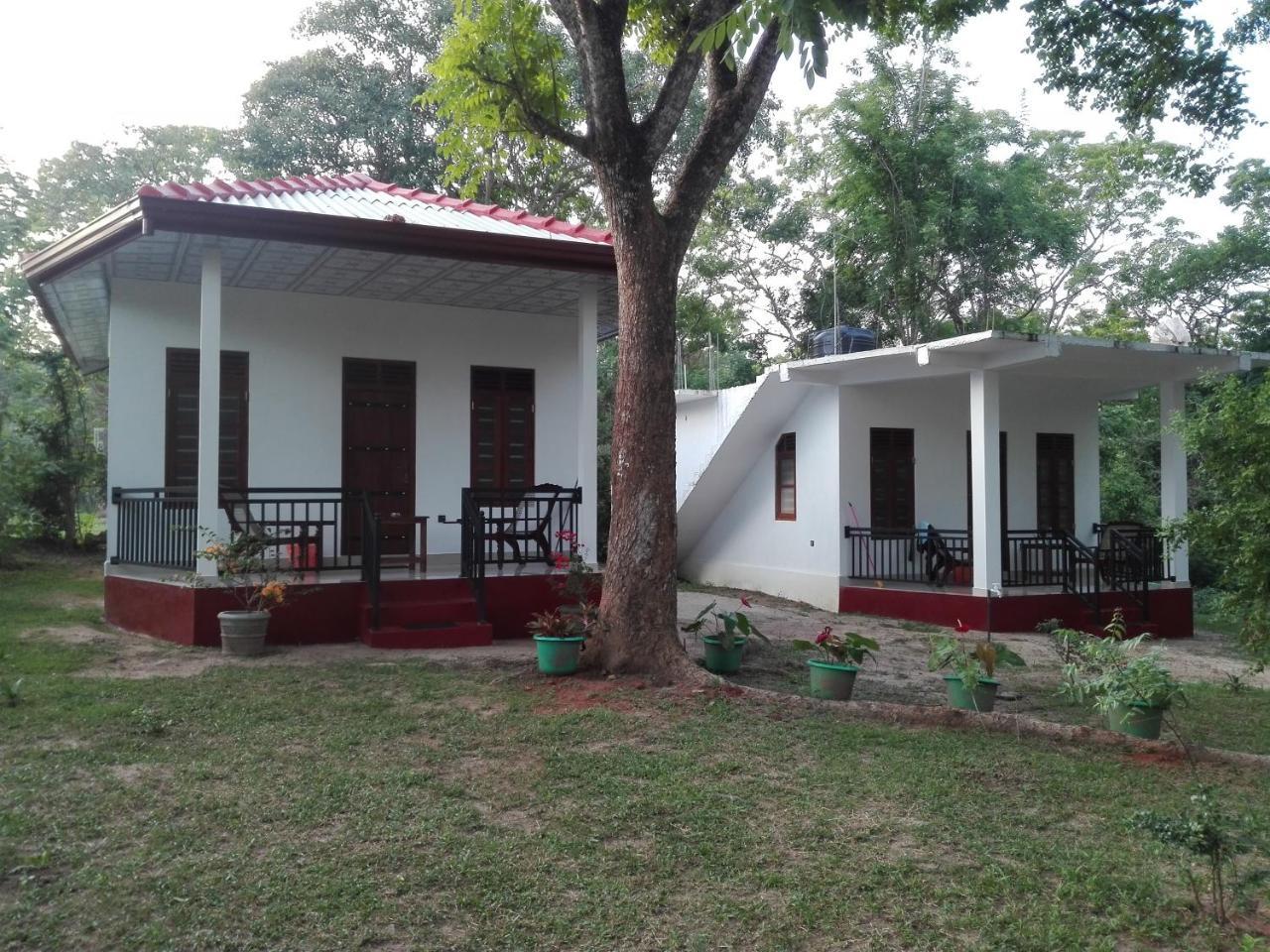 Calm Garden Cabanas Tangalle Exteriér fotografie