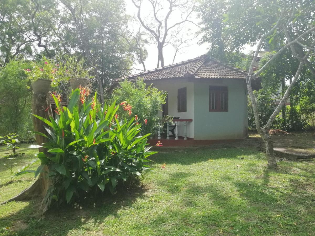 Calm Garden Cabanas Tangalle Exteriér fotografie